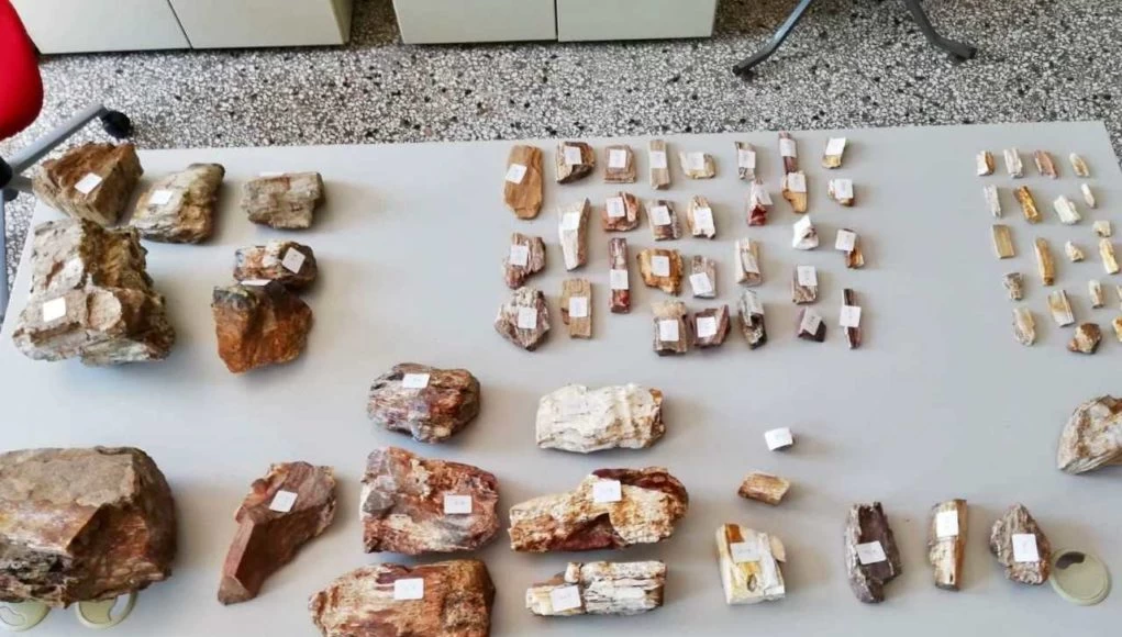Λέσβος: «Κλέφτες»απολιθωμάτων προσπαθούσαν να διαφύγουν για Βιέννη- Τους «τσάκωσαν» στο αεροδρόμιο-Εικόνες